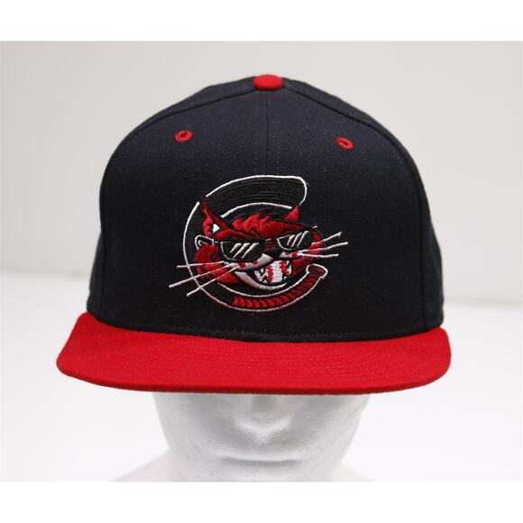Charleston Alley Cats Vintage New Era Wool Minor Baseball Hat Fitted 7 1/2 - Picture 2 of 6